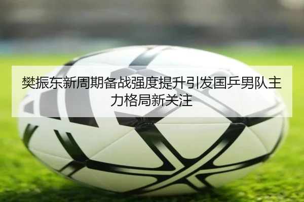 樊振东新周期备战强度提升引发国乒男队主力格局新关注