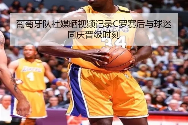 葡萄牙队社媒晒视频记录C罗赛后与球迷同庆晋级时刻